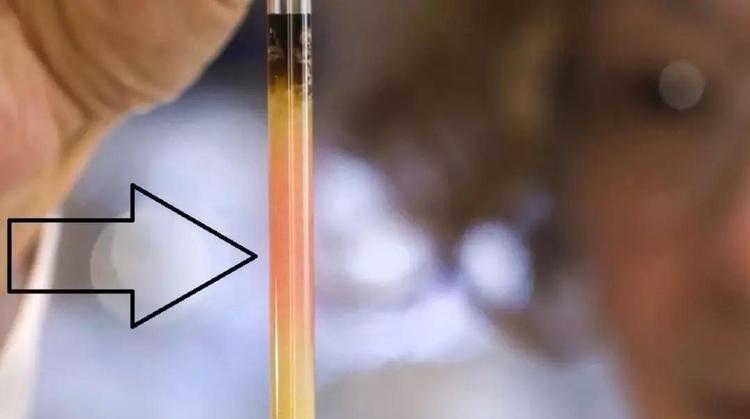 澳国立大学-带你看见世界上最古老的颜色 澳国立大学-带你看见世界上最古老的颜色