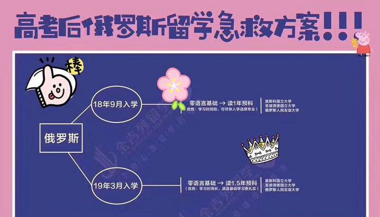 助力高考，全球名校留学方案汇总