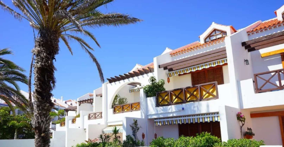 加拿大本科应该如何选择专业