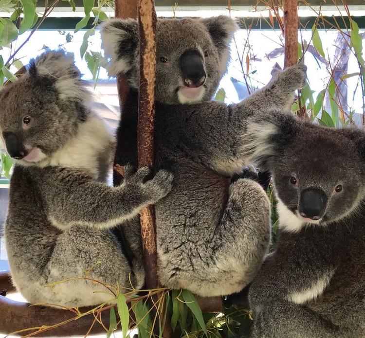 留学生必看的7大绝佳澳洲景致