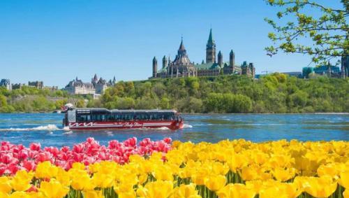 如何把控申请时间段？