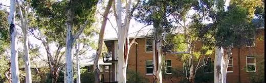 想读一年硕士的同学看过来！