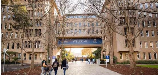 大二休学生，一个月内成功申请澳洲顶尖名校墨尔本大学