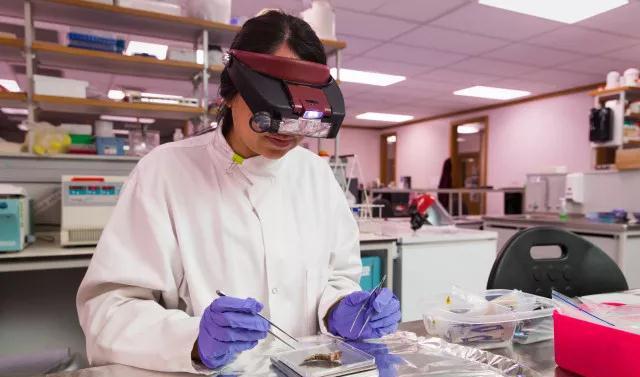 专业推荐 | 奥克兰大学海洋学硕士 专业推荐 | 奥克兰大学海洋学硕士