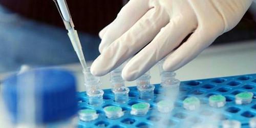 英国留学容易混淆的专业，千万不要选错