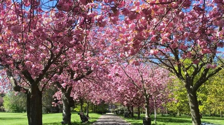 什么样的人会选择伦敦? 什么样的人会选择伦敦?