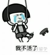 澳洲推出新全球人才签证, 待满3年可直申PR 澳洲推出新全球人才签证, 待满3年可直申PR