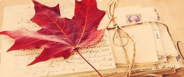 加拿大留学推荐信内容是哪些？