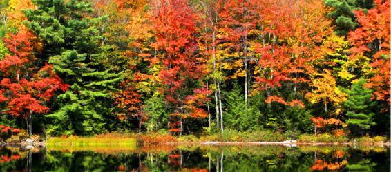 揭晓加拿大大学对A-Level课程的要求