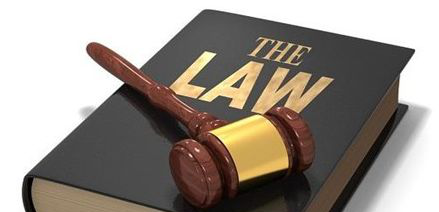 #成功案例#新西兰法学专业录取