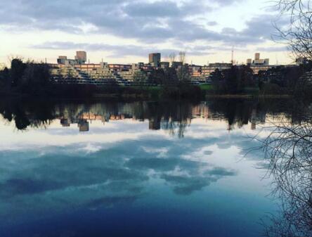 英国诺里奇的UEA