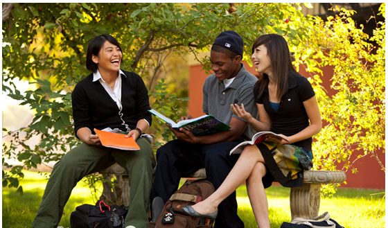 更适合女生的15大留学专业