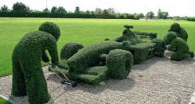 新西兰园艺专业了解一下？