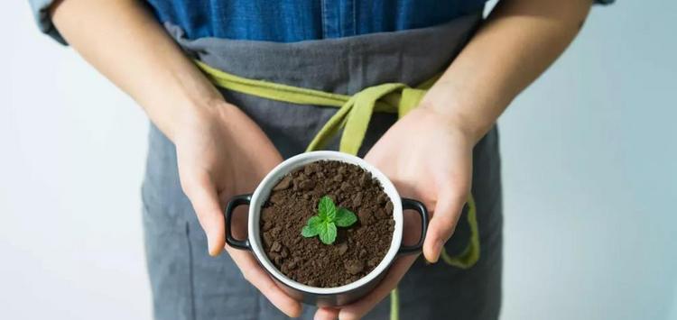 海归就业怎么办？告诉你最吃香的专业