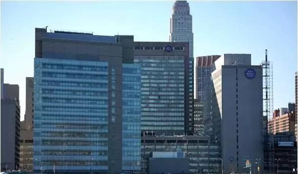 纽约大学医学中心NYU 纽约大学医学中心NYU