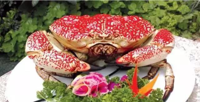 这些令人垂涎的澳洲美食，你吃过几个？