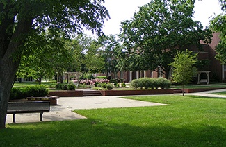 利普斯科姆大学