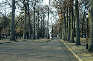 林登沃德大学