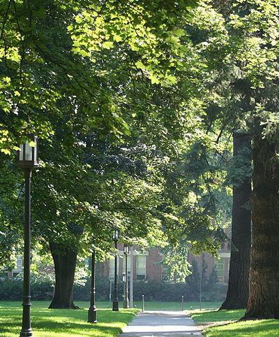 技能学习商学院