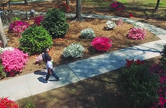 布莱登社区学院