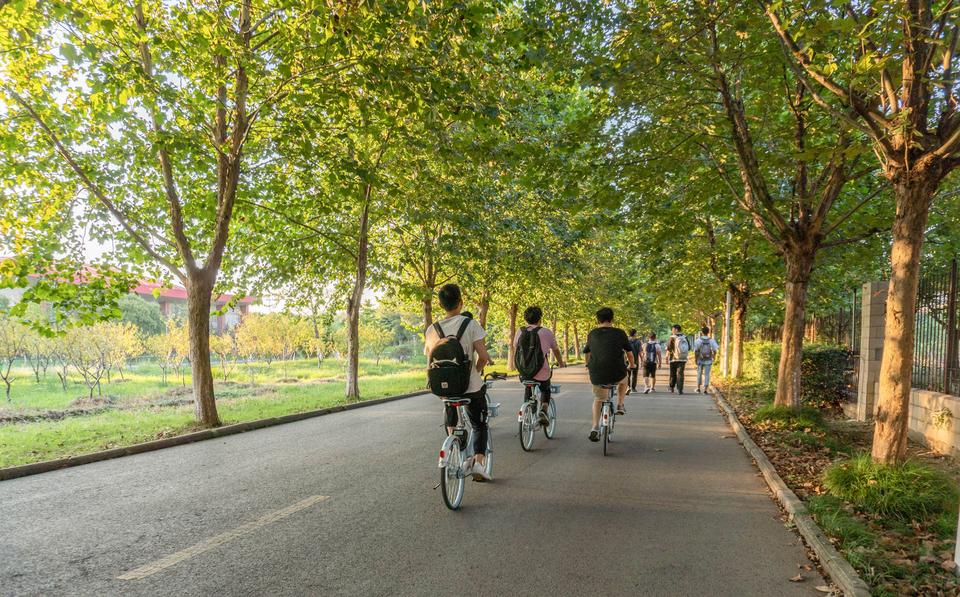 医学物理学专业大学推荐