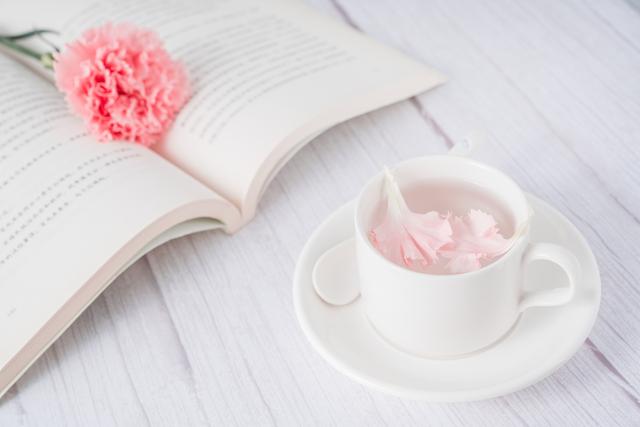 里昂第一大学研究生学费及申请条件