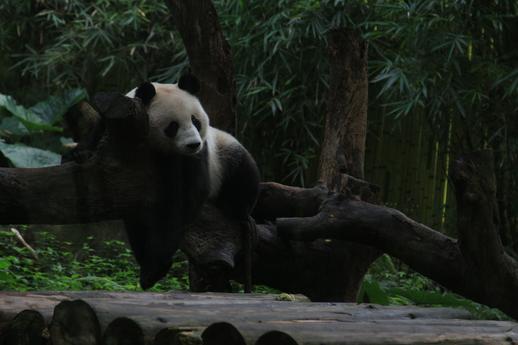 莫纳什大学研究生学费及申请条件 莫纳什大学研究生学费及申请条件