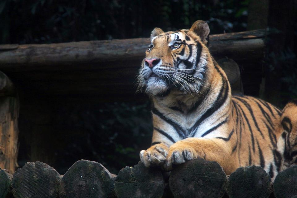 佛罗里达州立大学研究生学费及申请条件