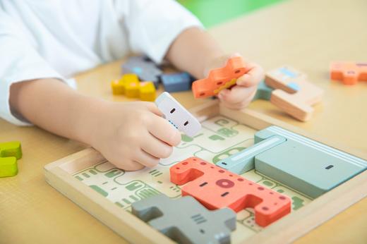 荷兰留学签证拒签原因和申请须知