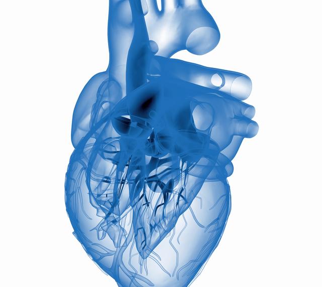 新加坡签证费用及签证时间的注意事项 新加坡签证费用及签证时间的注意事项