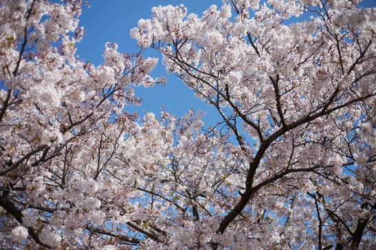 去英国格罗斯泰斯特主教大学留学能完成学业吗？