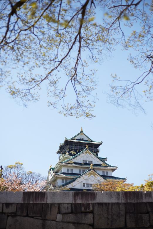 英国南埃塞克斯学院上研究生花费一年要多少？