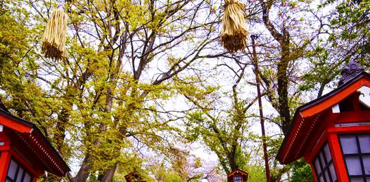 塔夫茨大学研究生学费及申请条件 塔夫茨大学研究生学费及申请条件