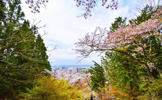 国际与公共事务专业哪些学校最好 国际与公共事务专业哪些学校最好