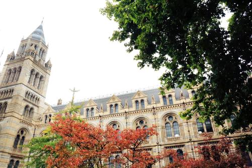 加拿大英属哥伦比亚大学留学研究生花费一年多少人民币? 加拿大英属哥伦比亚大学留学研究生花费一年多少人民币?