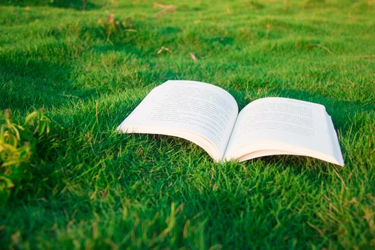 耶鲁大学2022年QS世界大学排名