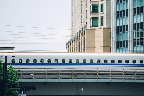 北德克萨斯大学研究生学费及申请条件