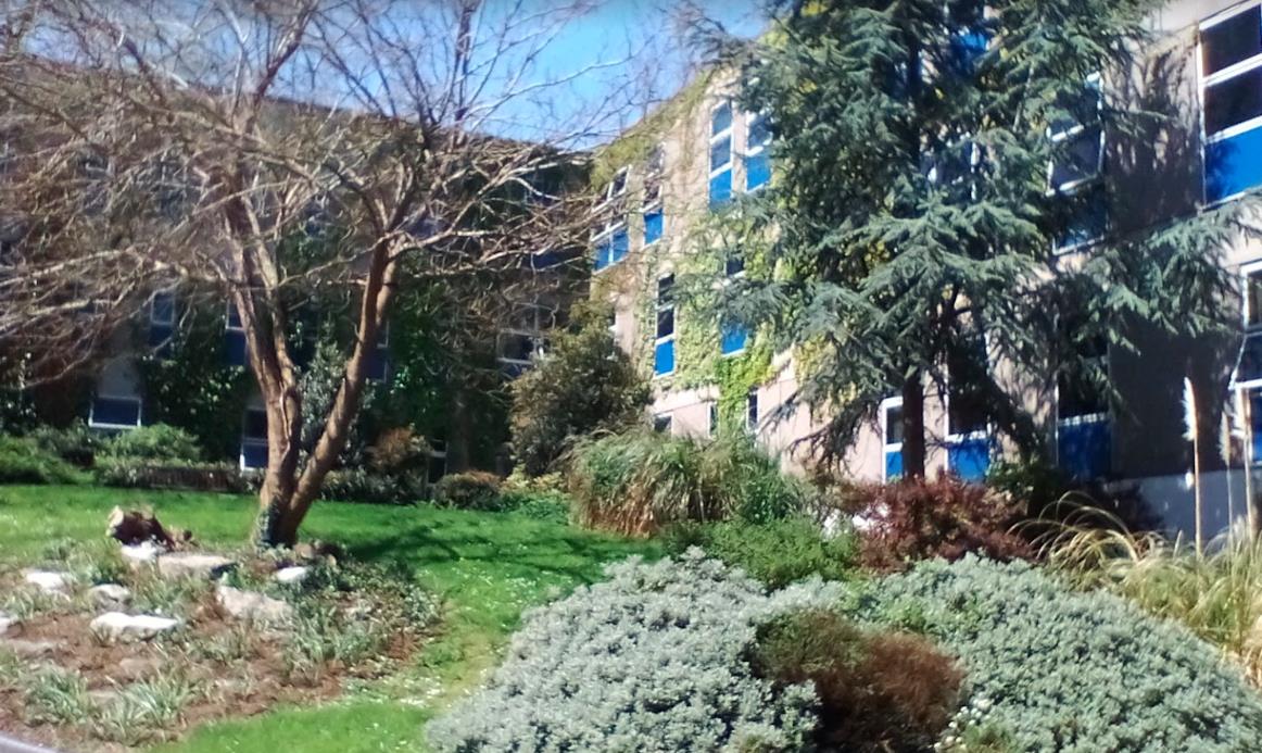 2公车司机既开车又售票