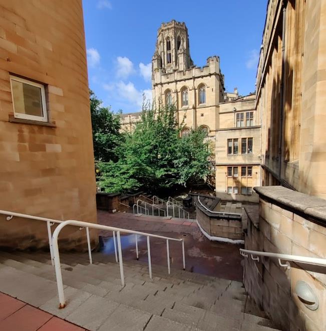 兴趣和爱好 Interests and hobbies