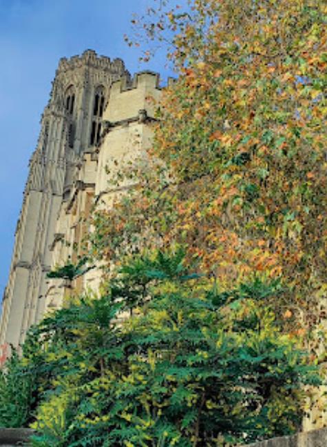 1学校的职业建议中心 Career Advise Centre