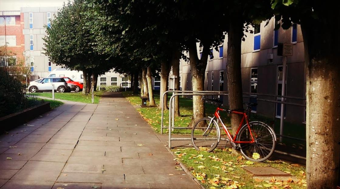 租车保险 租车保险