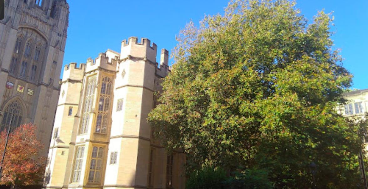 个人资料 Personal details