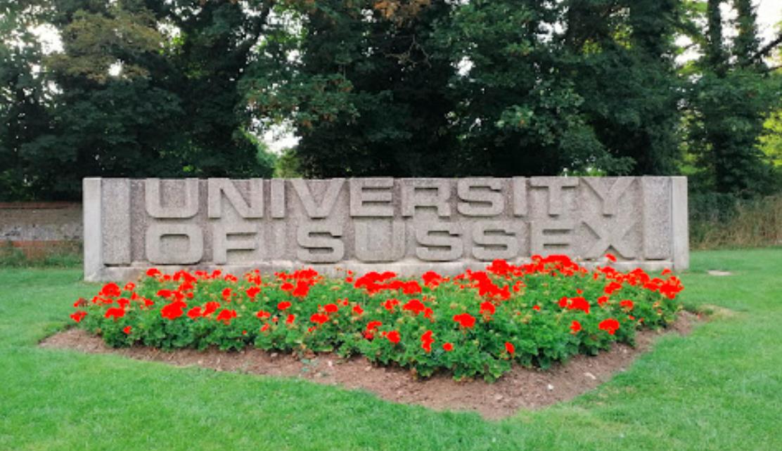 3盗用银行账户和经济诈骗 3盗用银行账户和经济诈骗