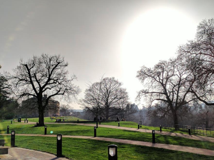 教服国际美国部总监公司合伙人李静