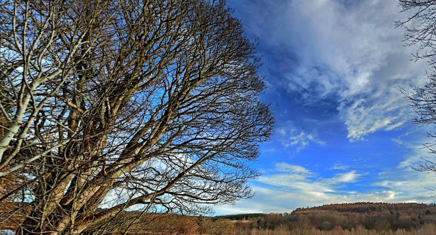 ●通过公告栏刊登招聘广告
