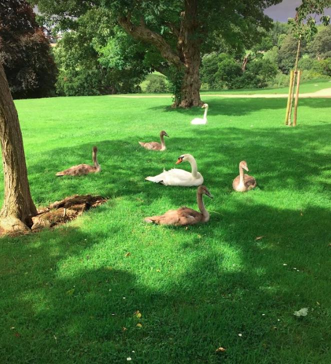 2学校被认可及被批准的方案 2学校被认可及被批准的方案