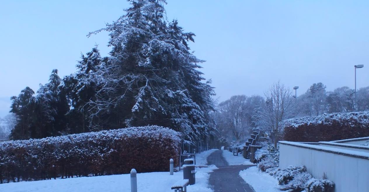 4学历、学位证书认证申请办法 4学历、学位证书认证申请办法