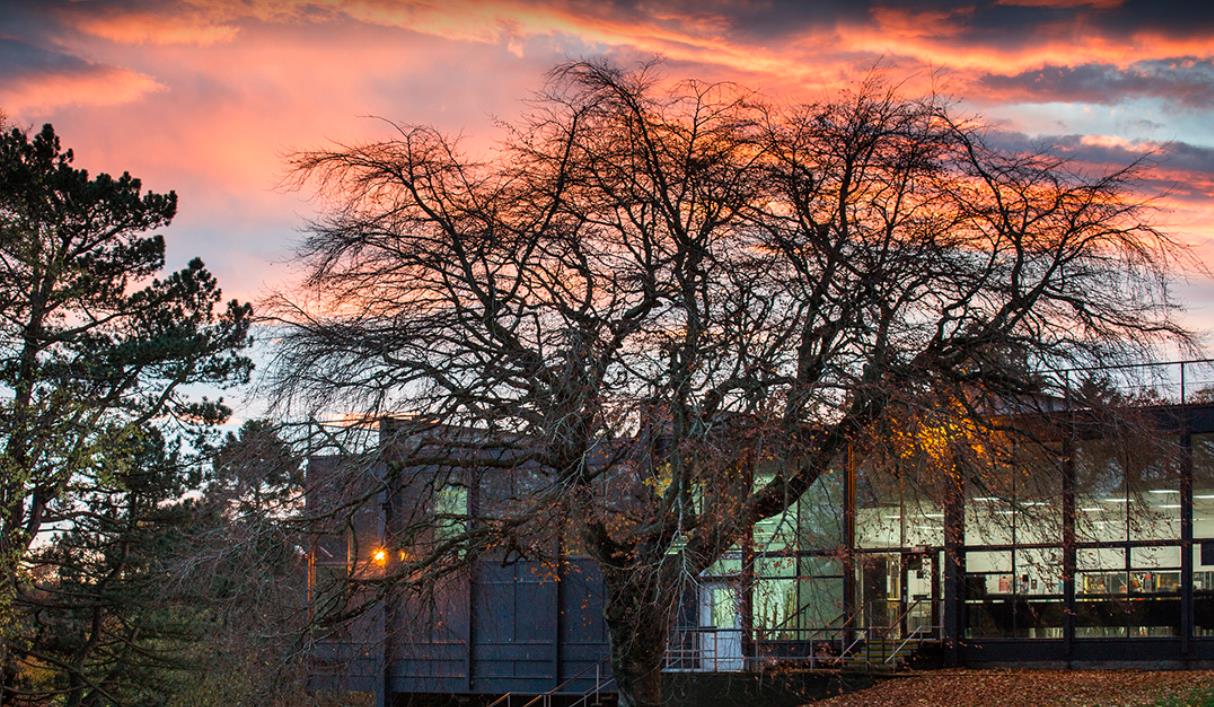 ●盲人或有重度视障人士 ●盲人或有重度视障人士