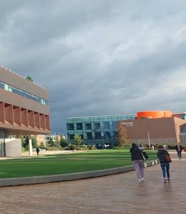 3自由教育传统的核心体现 3自由教育传统的核心体现