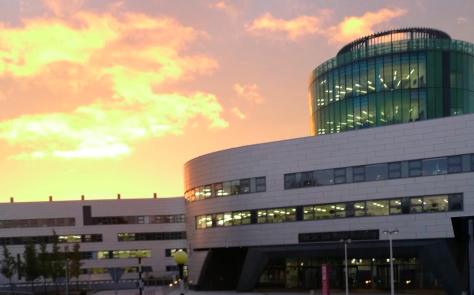 工作经验和实习